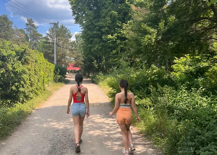 Uroczy Zakatek * Mielno (Ostroda)